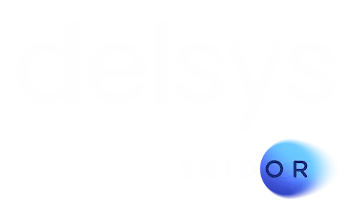 delsys seidor logo
